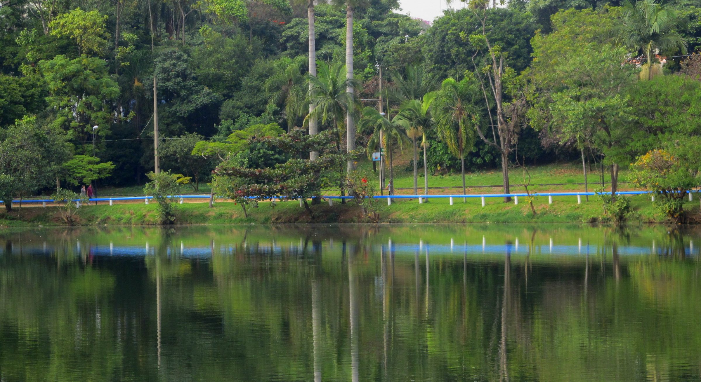 Vista de Campinas